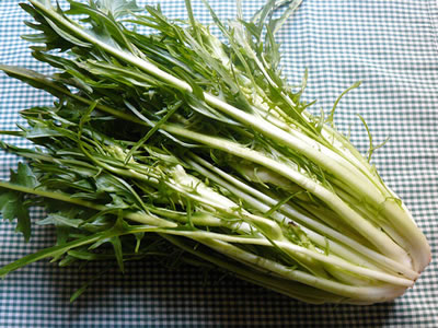 Puntarelle