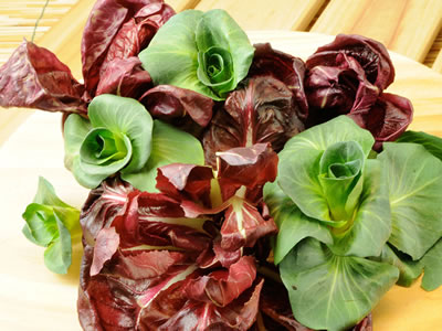 Radicchio da taglio