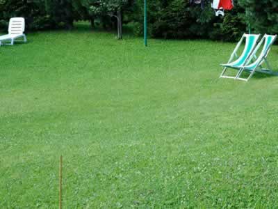 La festuca per le scarpate