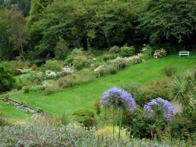 Phleum, per prati in montagna