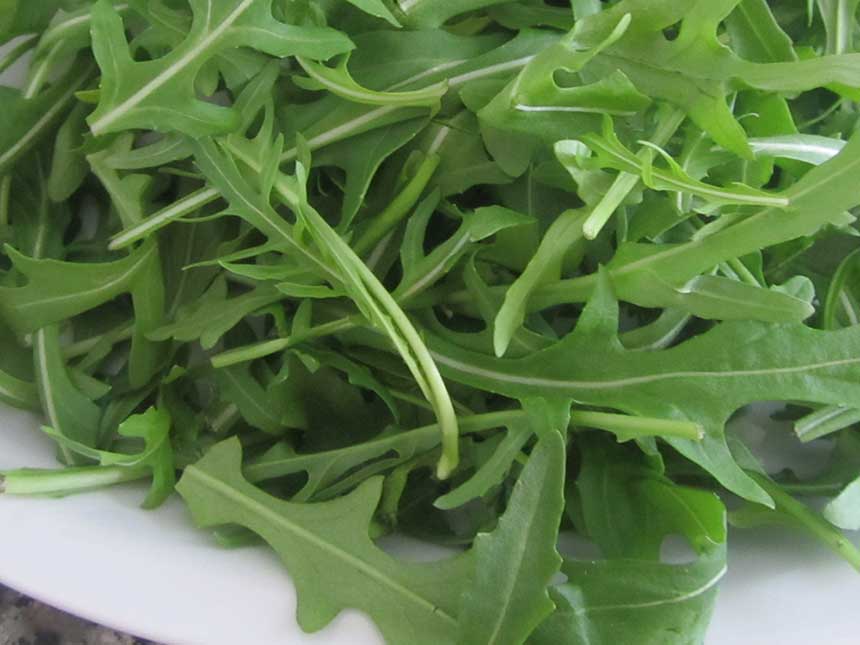 Orecchiette con rucola e patate