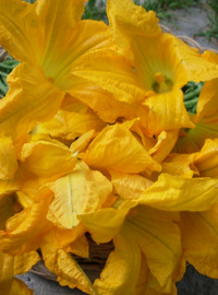 Pasta in giallo