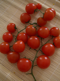 Focaccia ai pomodorini