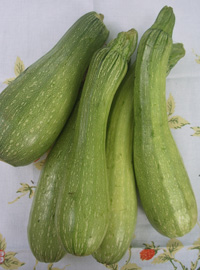 Zucchine fritte
