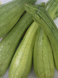 Reginette alle zucchine
