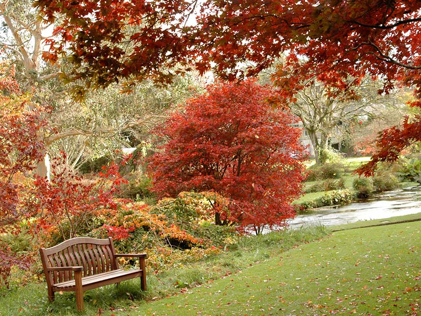 Mount Usher, gran spettacolo autunnale