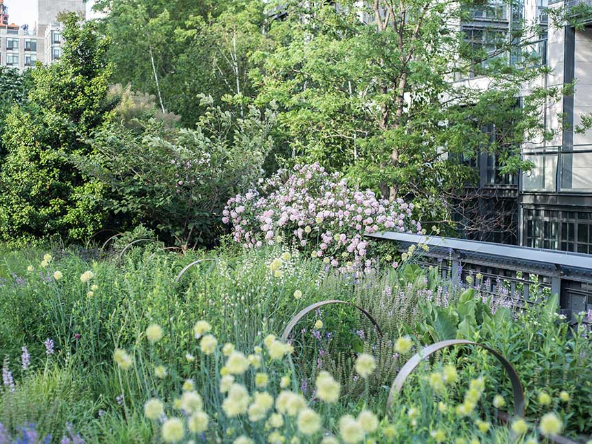 Il fascino di Manhattan High Line Park