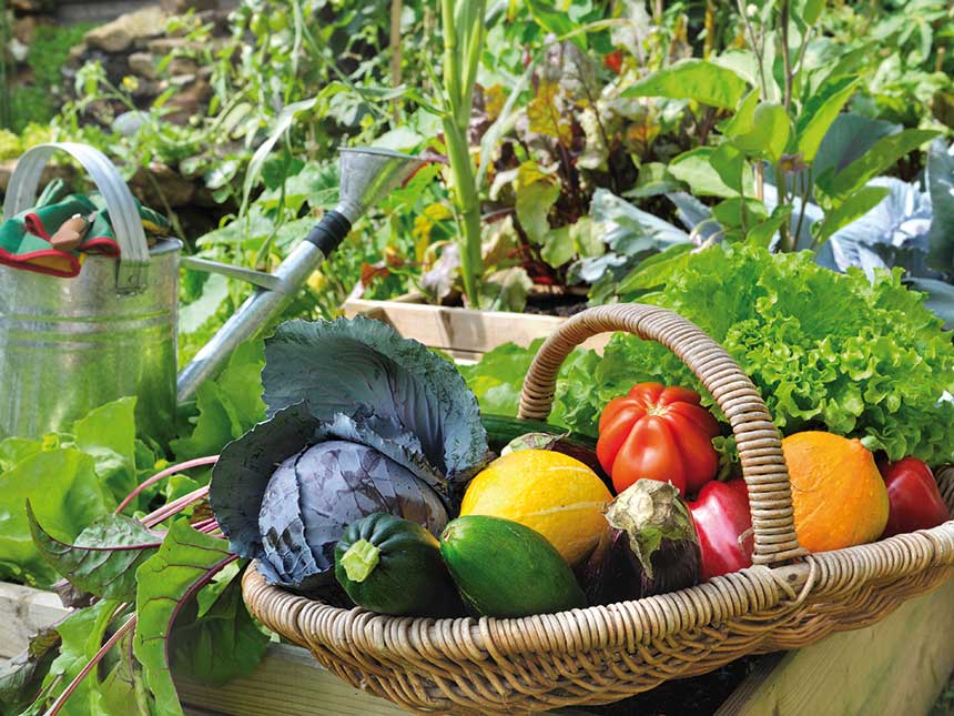 Perché scegliere di coltivare con metodi bio?